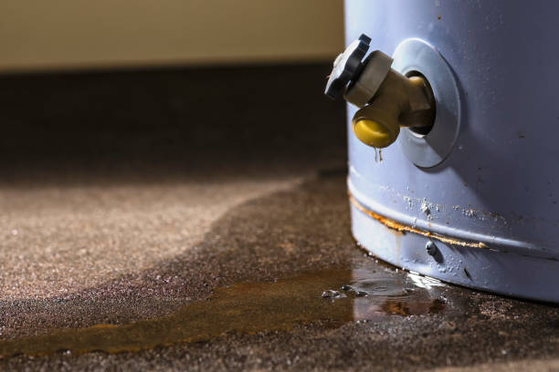Best Emergency water damage restoration  in San Diego Country Estates, CA