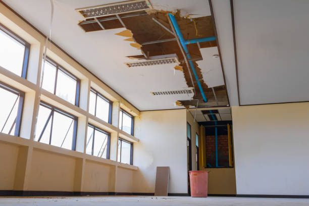 Best Basement water damage restoration  in San Diego Country Estates, CA