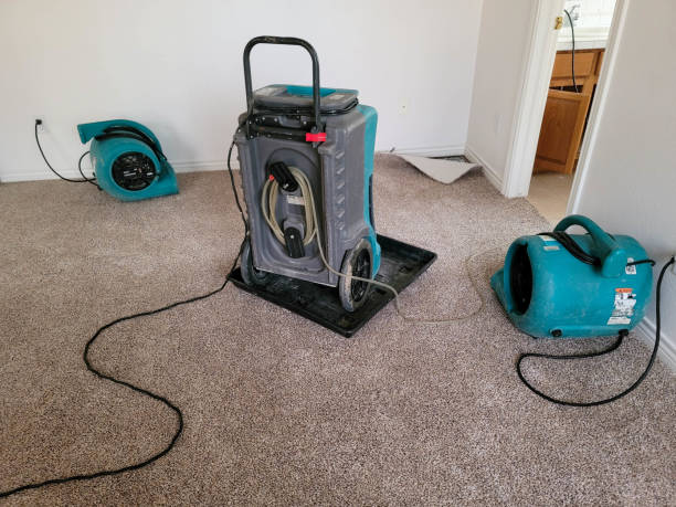 Best Local water damage restoration  in San Diego Country Estates, CA