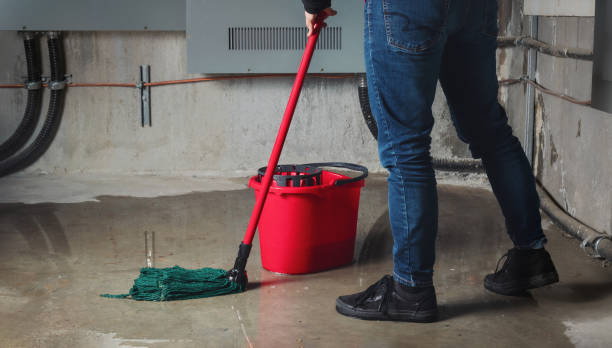 Professional Water damage restoration in San Diego Country Estates, CA