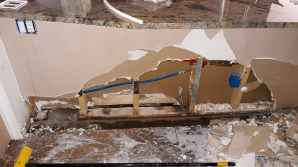 Best Carpet water damage restoration  in San Diego Country Estates, CA