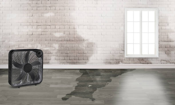  San Diego Country Estates, CA Water damage restoration Pros