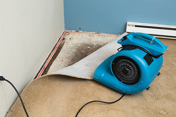 Best 24/7 water damage repair  in San Diego Country Estates, CA